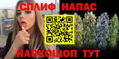 mdma Гатчина