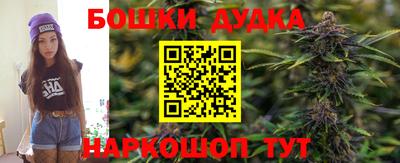 mdma Гатчина