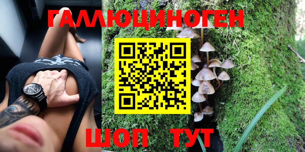 Медногорск  Галлюциногенные грибы мухоморы  Вход с VPN 